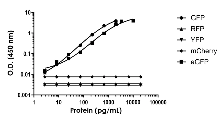 Sandwich ELISA - GFP ELISA Kit, Chemiluminescent (AB325363)