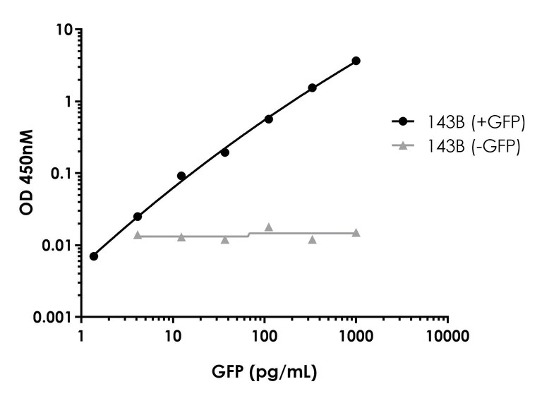 Sandwich ELISA - GFP ELISA Kit, Chemiluminescent (AB325363)