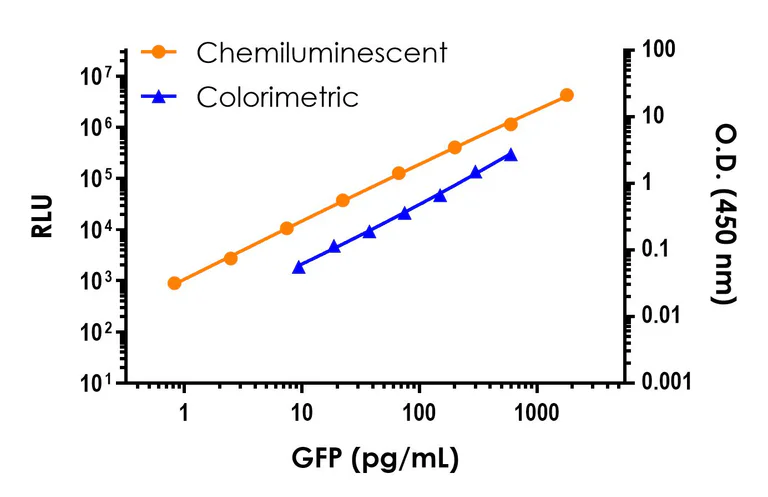 Sandwich ELISA - GFP ELISA Kit, Chemiluminescent - Extracellular (AB326733)