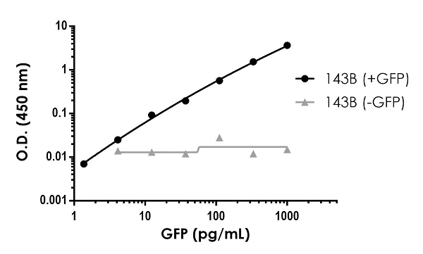 Sandwich ELISA - GFP ELISA Kit, Fluorescent (AB229403)