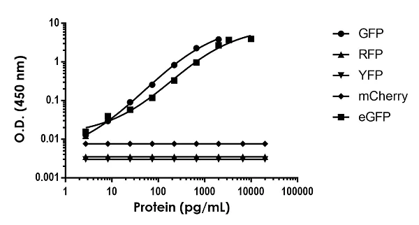 Sandwich ELISA - GFP ELISA Kit, Fluorescent (AB229403)