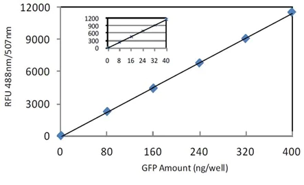 Functional Studies - GFP Quantification Kit (AB235672)