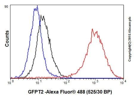 Flow Cytometry (Intracellular) - Anti-GFPT2 antibody [EPR19095] - BSA and Azide free (AB240316)