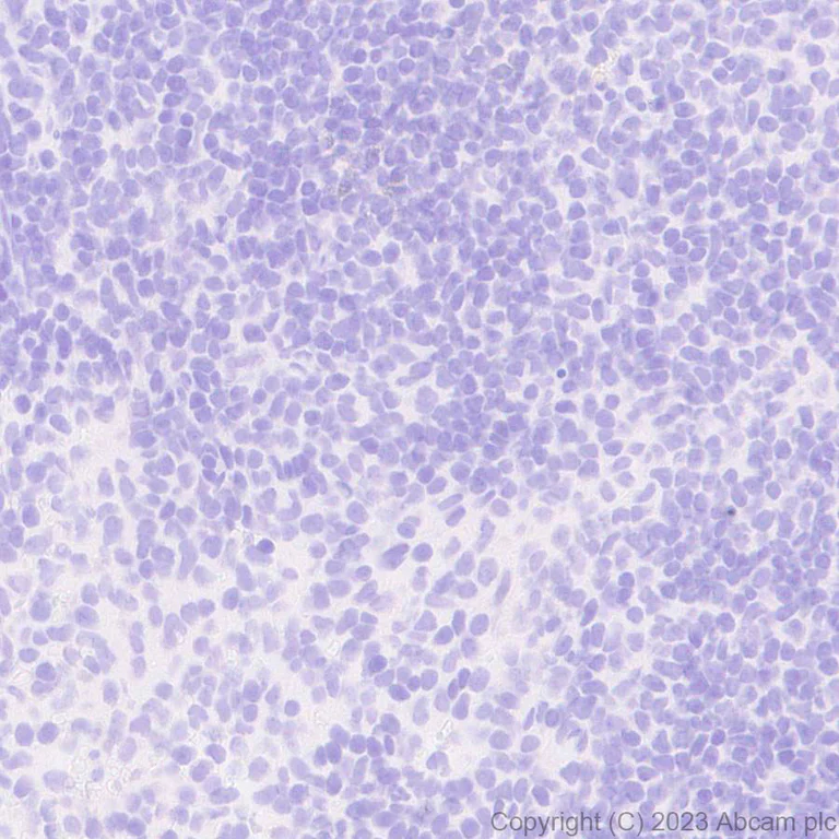 Immunohistochemistry (Formalin/PFA-fixed paraffin-embedded sections) - Anti-GFRAL antibody [EPR28368-150] - BSA and Azide free (AB315900)