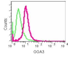 Flow Cytometry (Intracellular) - Anti-GGA3 antibody [EPR14340] (AB180951)