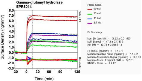 OI-RD Scanning - Anti-GGH antibody [EPR8014] (AB138495)