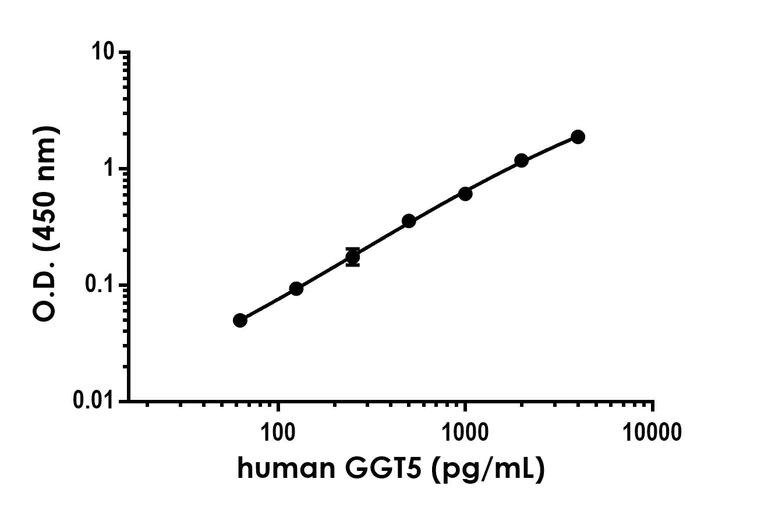 Sandwich ELISA - Anti-GGT5 antibody [EPR24682-8] - BSA and Azide free (Detector) (AB290659)