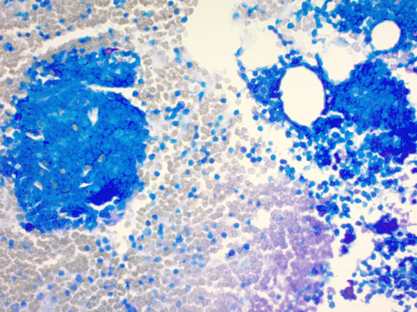 Histology - Giemsa Stain Kit (AB150670), expandable thumbnail