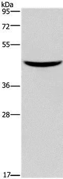 webp-768.webp