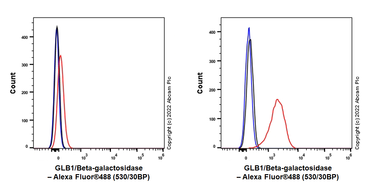 Flow Cytometry (Intracellular) - Anti-GLB1/Beta-galactosidase antibody [EPR26120-76] (AB305174), expandable thumbnail