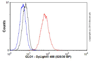 Flow Cytometry (Intracellular) - Anti-GLO1 antibody [6F10] (AB81461)