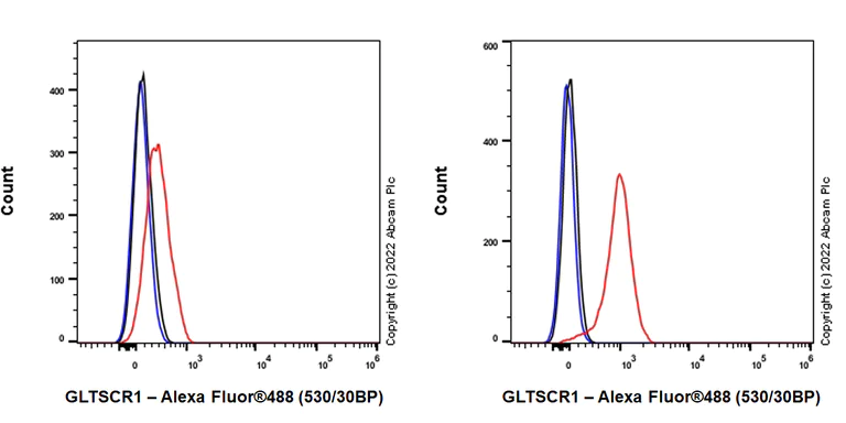 Flow Cytometry (Intracellular) - Anti-GLTSCR1 antibody [EPR26561-76] (AB302712)