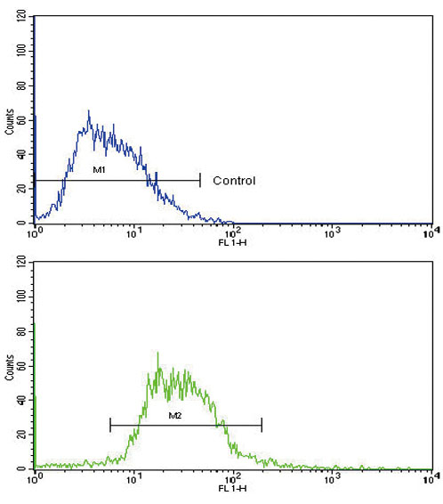 Flow Cytometry (Intracellular) - Anti-Glucagon antibody - N-terminal (AB189279)