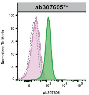 Flow Cytometry (Intracellular) - Anti-Glucocorticoid Receptor antibody [2153CT307.32.80] - BSA and Azide free (AB307606)