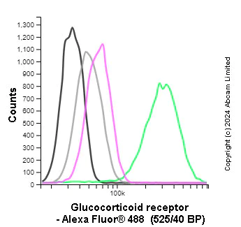 Flow Cytometry (Intracellular) - Anti-Glucocorticoid Receptor antibody [EPR19621] (AB183127)