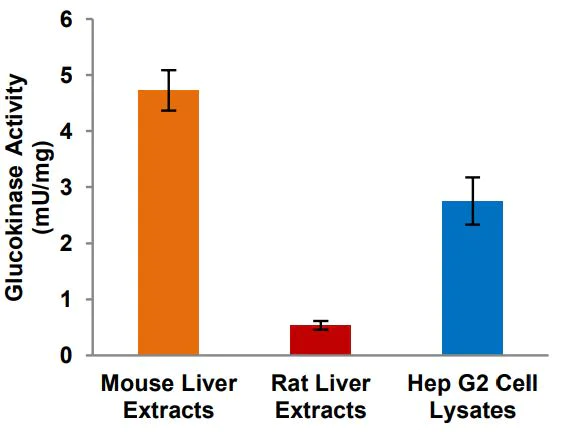 Functional Studies - Glucokinase Activity Assay Kit (Fluorometric) (AB273303)