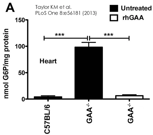 Functional Studies - Glucose-6-Phosphate Assay Kit (Colorimetric) (AB83426)