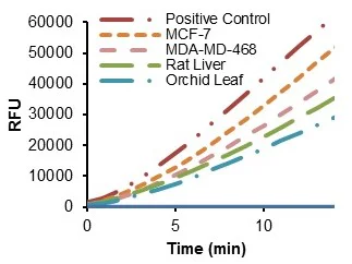 Functional Studies - Glucose-6-Phosphate Dehydrogenase Activity Assay Kit (AB303735)
