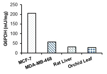Functional Studies - Glucose-6-Phosphate Dehydrogenase Activity Assay Kit (AB303735)