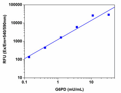 Functional Studies - Glucose 6 Phosphate Dehydrogenase Activity Assay Kit (Fluorometric) (AB176722)