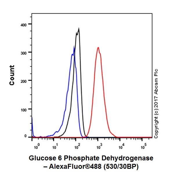 Flow Cytometry (Intracellular) - Anti-Glucose 6 Phosphate Dehydrogenase antibody [EPR20668] (ab210702), expandable thumbnail