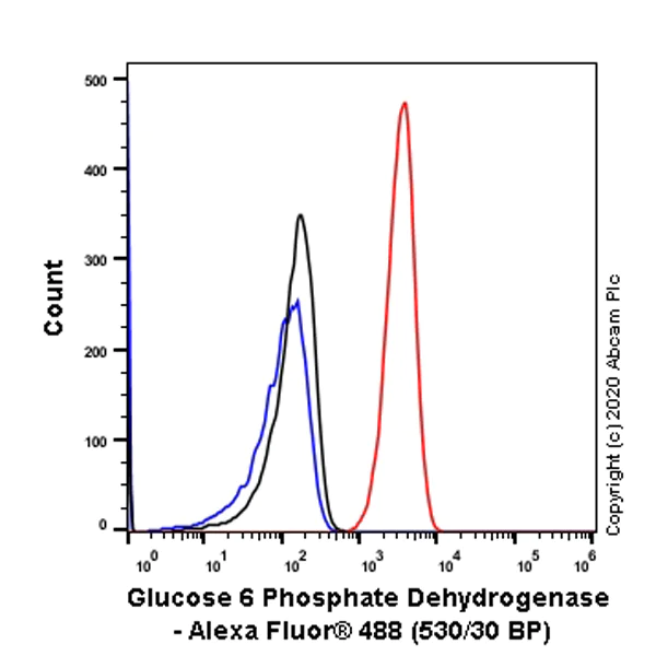 Flow Cytometry (Intracellular) - Anti-Glucose 6 Phosphate Dehydrogenase antibody [EPR6292] - BSA and Azide free (AB218120)
