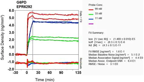 OI-RD Scanning - Anti-Glucose 6 Phosphate Dehydrogenase antibody [EPR6292] - BSA and Azide free (AB218120)