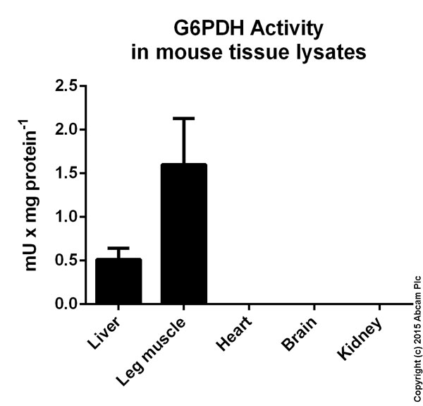Glucose 6 Phosphate Dehydrogenase Assay Kit (Colorimetric)