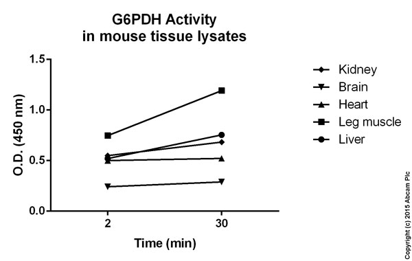 Functional Studies - Glucose 6 Phosphate Dehydrogenase Assay Kit (Colorimetric) (AB102529)