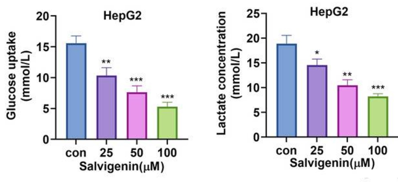 Biochemical assay - Glucose Assay Kit (ab65333), expandable thumbnail