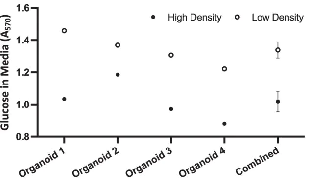 Biochemical assay - Glucose Assay Kit (AB65333)