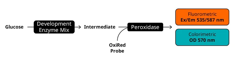 Biochemical assay - Glucose Assay Kit (AB65333)
