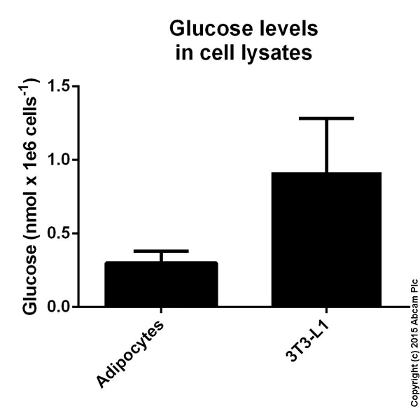 Functional Studies - Glucose Assay Kit (AB65333)