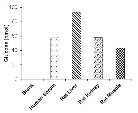 Functional Studies - Glucose Assay Kit (Fluorometric, High Sensitivity) (AB169559)