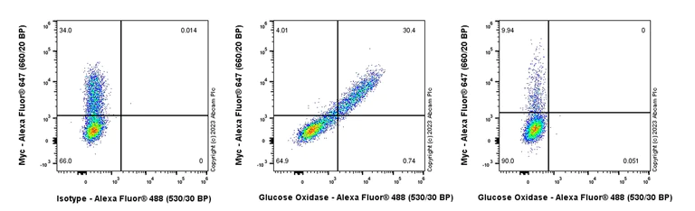 Flow Cytometry (Intracellular) - Anti-Glucose Oxidase antibody [EPR27335-25] - BSA and Azide free (AB314546)