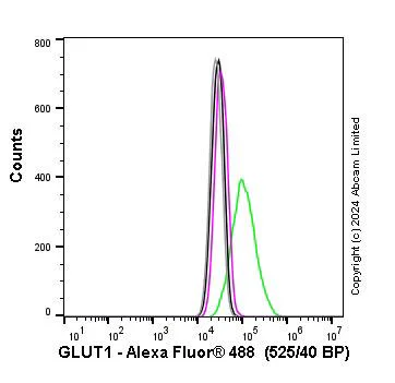 Flow Cytometry (Intracellular) - Anti-Glucose Transporter GLUT1 antibody [EPR3915] - Low endotoxin, Azide free (AB196357)