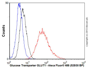 Flow Cytometry (Intracellular) - Anti-Glucose Transporter GLUT1 antibody [EPR3915] - Low endotoxin, Azide free (AB196357)