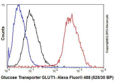 Flow Cytometry (Intracellular) - Anti-Glucose Transporter GLUT1 antibody [EPR3915] - Low endotoxin, Azide free (AB196357)