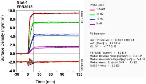 OI-RD Scanning - Anti-Glucose Transporter GLUT1 antibody [EPR3915] - Low endotoxin, Azide free (AB196357)