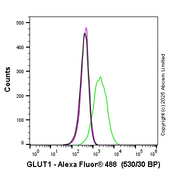 Flow Cytometry (Intracellular) - Anti-Glucose Transporter GLUT1 antibody [SP168] - BSA and Azide free (AB243915)