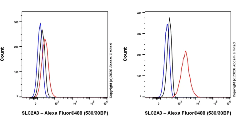 Flow Cytometry (Intracellular) - Anti-Glucose Transporter GLUT3 antibody [EPR30042-14] (AB327003)