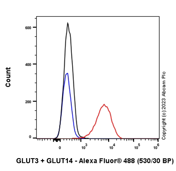 Flow Cytometry (Intracellular) - Anti-Glucose Transporter GLUT3 + GLUT14 antibody [EPR28481-54] (AB315168), expandable thumbnail