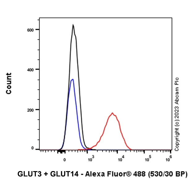 Flow Cytometry (Intracellular) - Anti-Glucose Transporter GLUT3 + GLUT14 antibody [EPR28481-54] (AB315168)