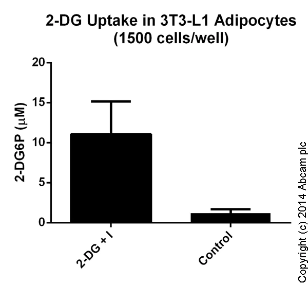 Functional Studies - Glucose Uptake Assay Kit (Fluorometric) (AB136956)