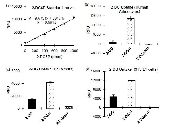 Functional Studies - Glucose Uptake Assay Kit (Fluorometric) (AB136956)
