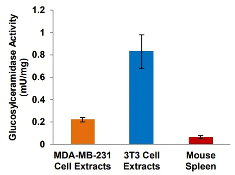 Functional Studies - Glucosylceramidase Activity Assay Kit (Fluorometric) (AB273339)
