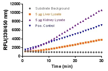 Functional Studies - β-Glucuronidase Activity Assay Kit (Fluorometric) (AB234625)