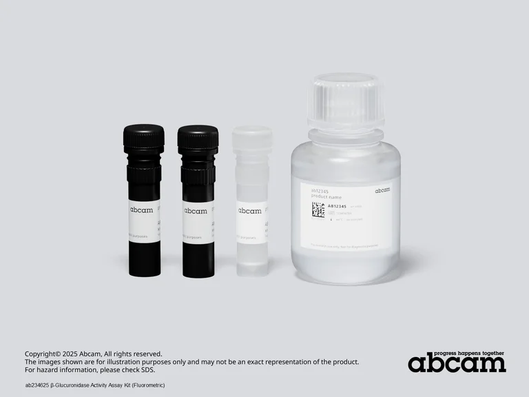 Other - β-Glucuronidase Activity Assay Kit (Fluorometric) (AB234625)