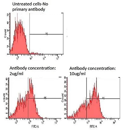 Flow Cytometry (Intracellular) - Anti-GLUT12 antibody (AB202908)