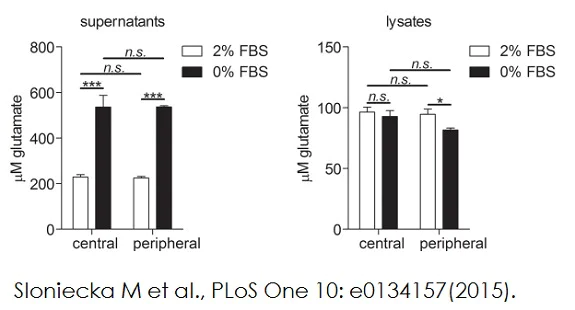 Functional Studies - Glutamate Assay Kit (AB83389)